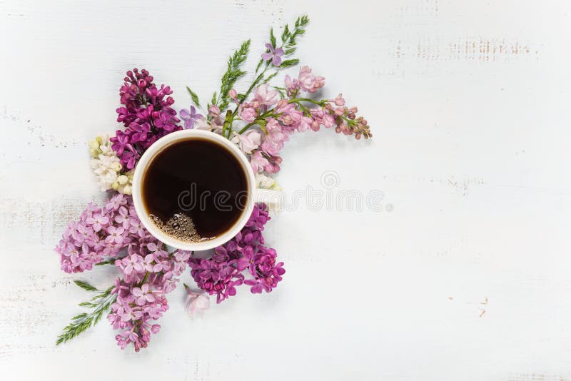 Teal coffee mug aesthetic, turquoise, morning coffee aesthetic, eucalyptus, morning inspo, inspirational