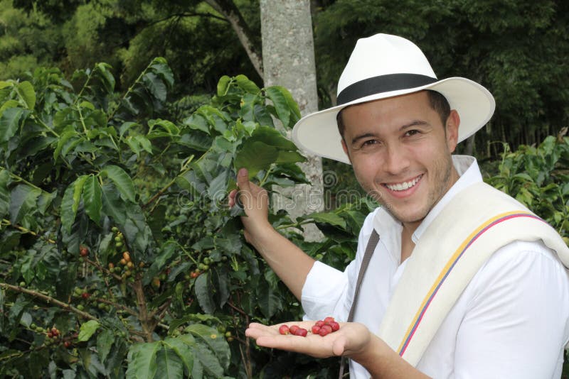 Coffee farmer in the fields stock photography Coffee farmer in the fields stock photography