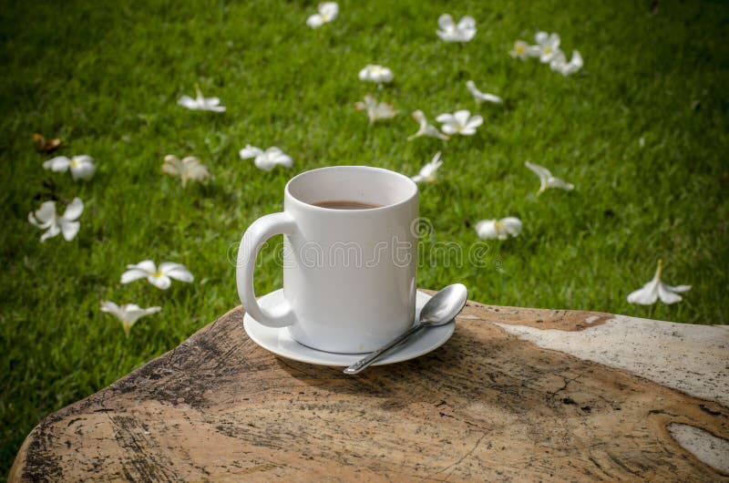 Coffee in garden stock image. Image of landscape, spring 42823051