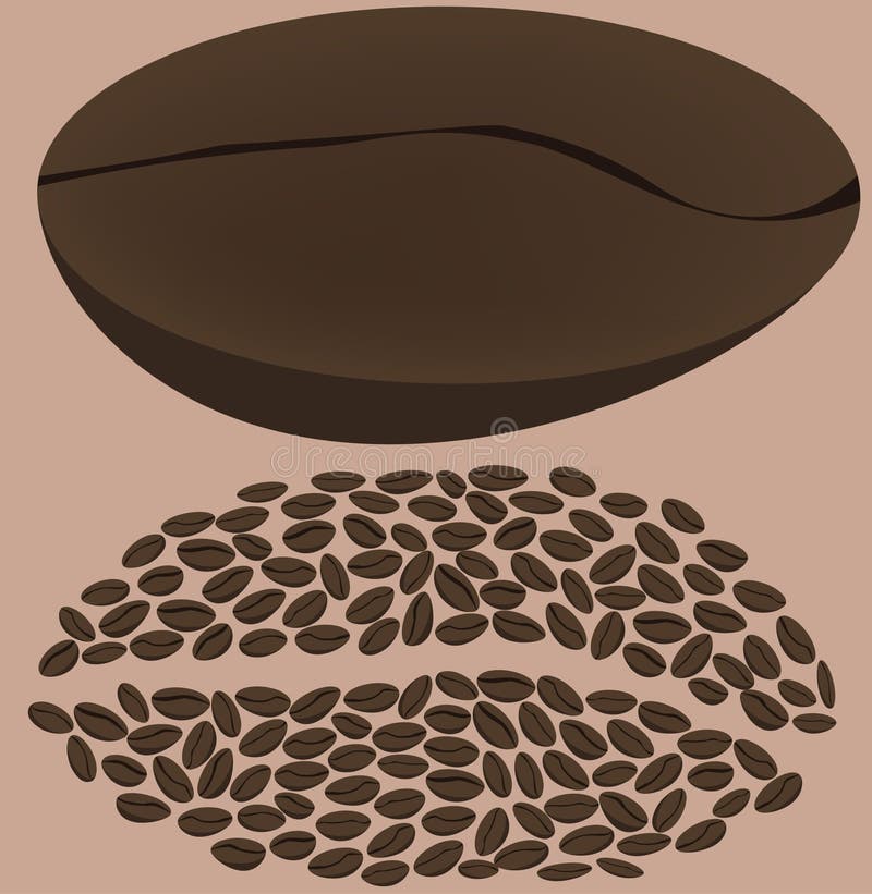 Coffee grains stock vector. Illustration of vegetative ...