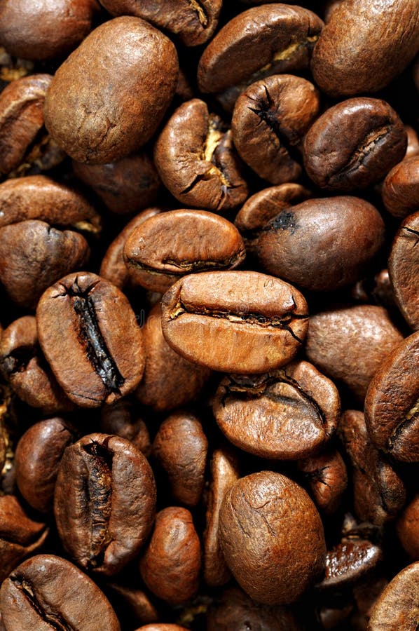 Coffee grains close up stock image. Image of closeup - 11236249