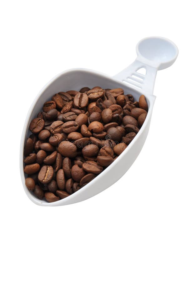 Coffee grains in scoop stock image. Image of gourmet 59565523