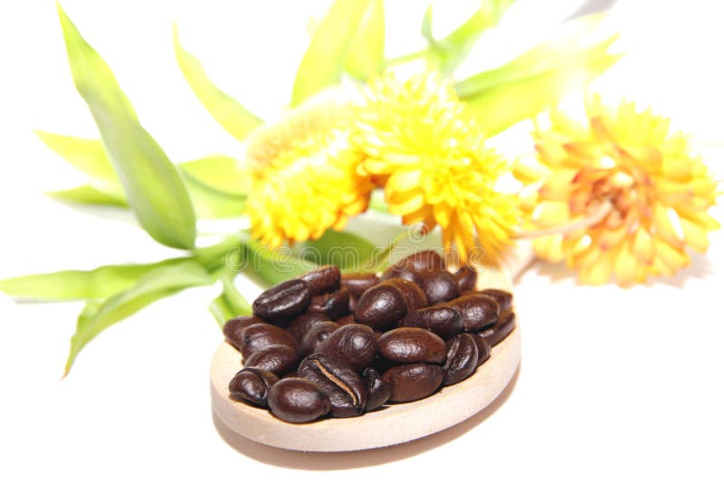 Coffee grains on wooden spoon, flowers and bamboo