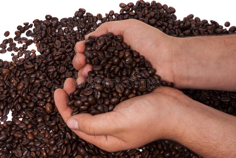 Coffee held in hands royalty free stock photos Coffee held in hands royalty free stock photos