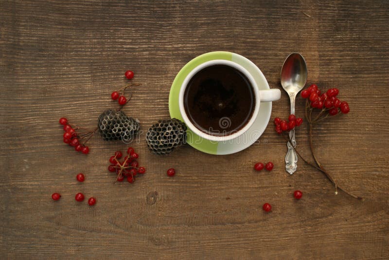 Coffee Morning with Berries Stock Image Image of cell, brown 64251841