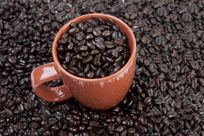 Coffee mug full of beans stock photo. Image of beans 12194206