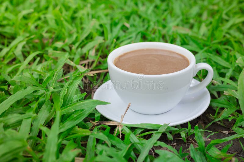 Coffee Over the Grass in the Garden Stock Image Image of relax