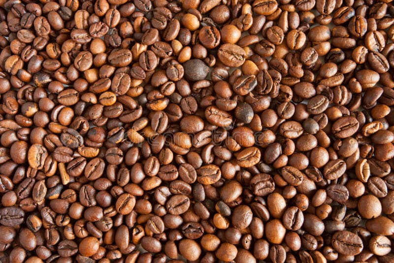 theine vs caffeine theine vs caffeine
