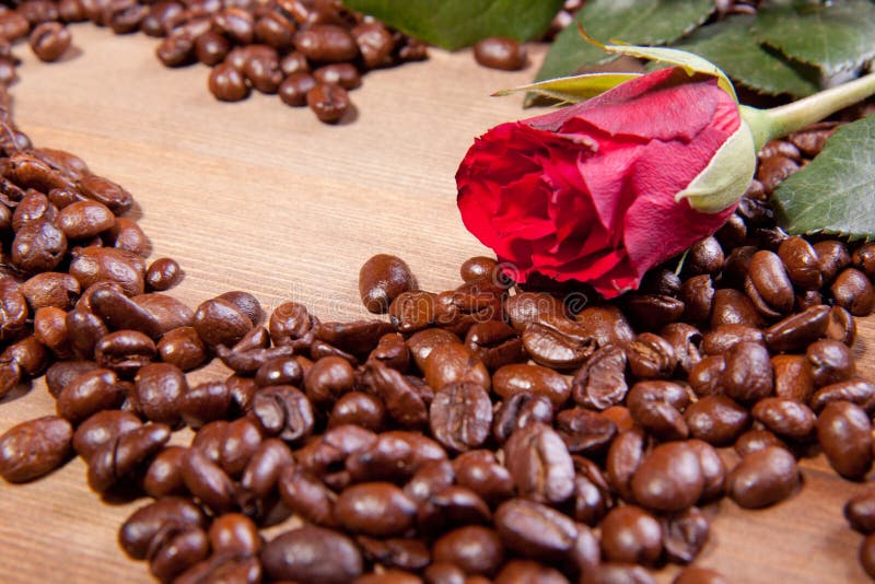 Coffee and rose stock image. Image of cappuccino, emotion 18069909