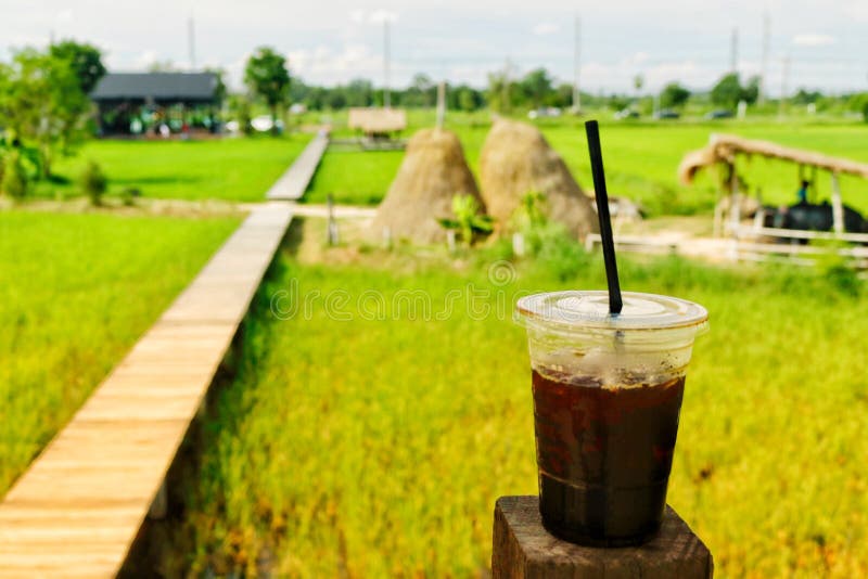 Coffee shop field stock photo. Image of field, coffee 151938174