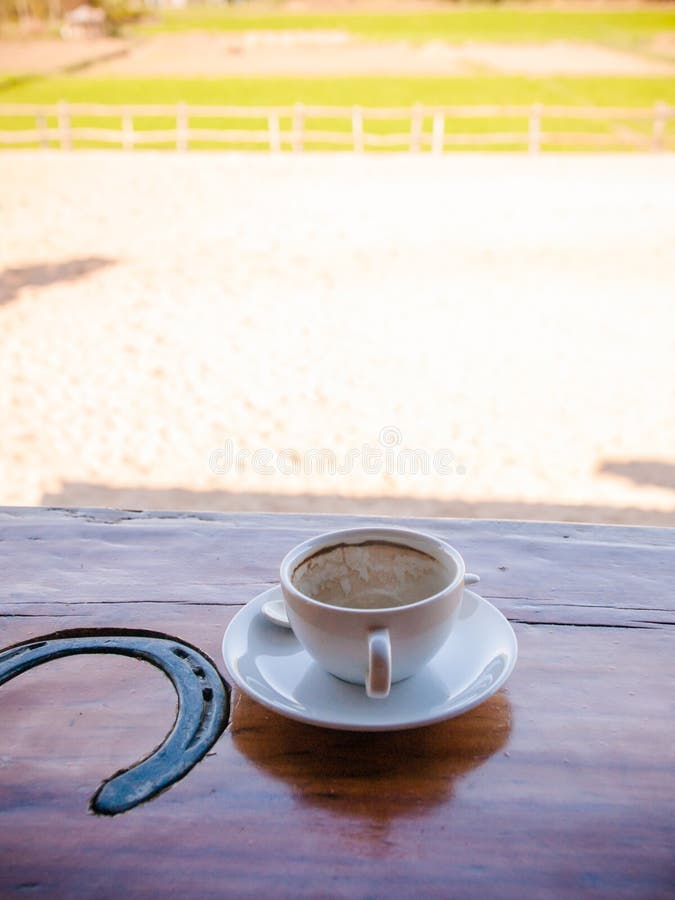 Coffee at the Training Ground Horse Stock Photo Image of ground, park