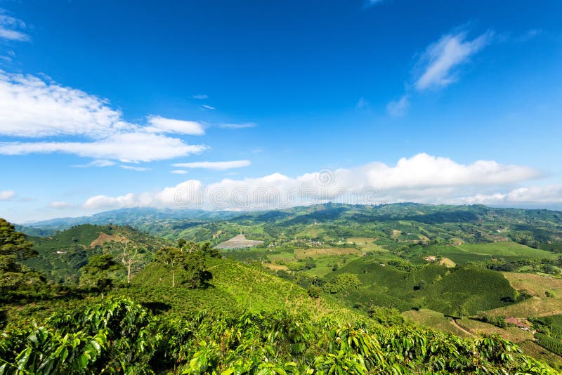 Beautiful view on the top of a mountain on a coffee plantation looking out towards the town of Chinchina, Colombia. Beautiful view on the top of a mountain on a coffee plantation looking out towards the town of Chinchina, Colombia.