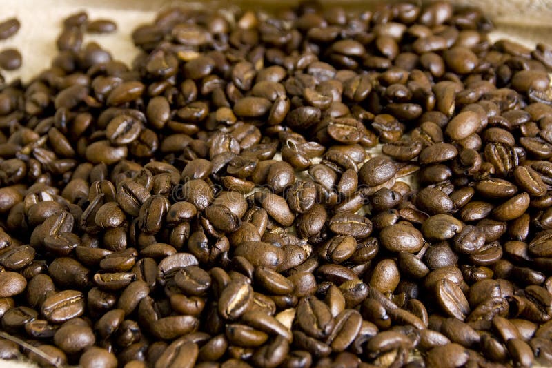 Coffee Whole Beans on Burlap Stock Image Image of dark, warm 13254091