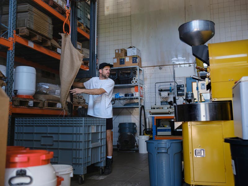Worker Handling Coffee Bean Sack royalty free stock photo