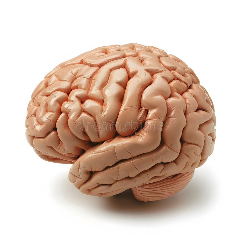 neuropsychological-assessments-stock-illustrations-1