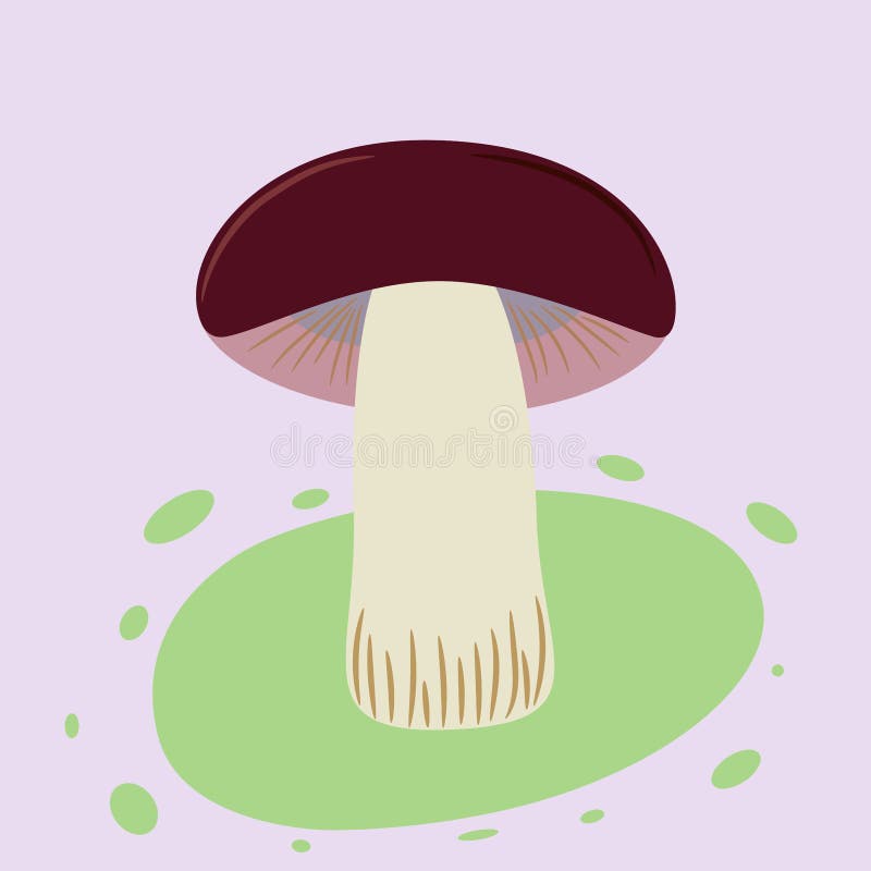 Cogumelo falso no fundo do lila ilustração royalty free Cogumelo falso no fundo do lila ilustração royalty free