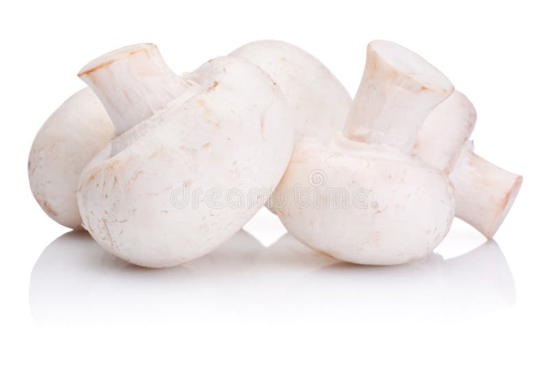 Cogumelo fresco do cogumelo de Portabello isolado no branco fotografia de stock Cogumelo fresco do cogumelo de Portabello isolado no branco fotografia de stock