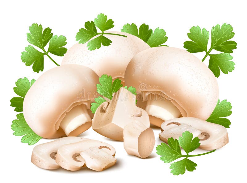 Mushrooms with parsley. Vector illustration. Mushrooms with parsley. Vector illustration