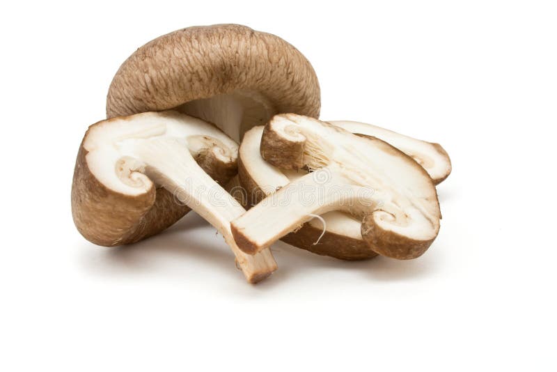 Cogumelos Shiitake foto de stock royalty free