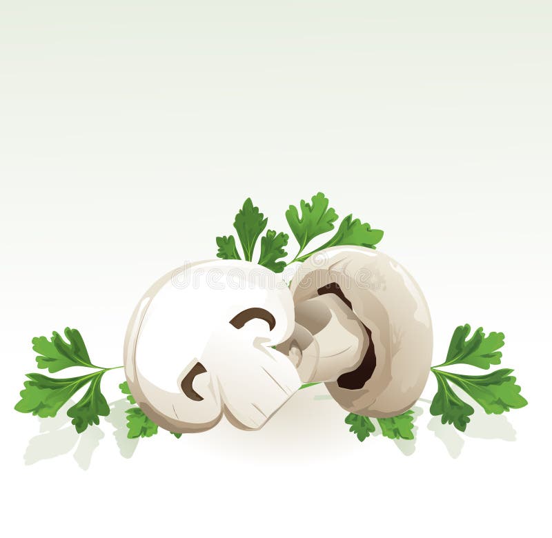 Mushrooms and parsley,illustration background. Mushrooms and parsley,illustration background