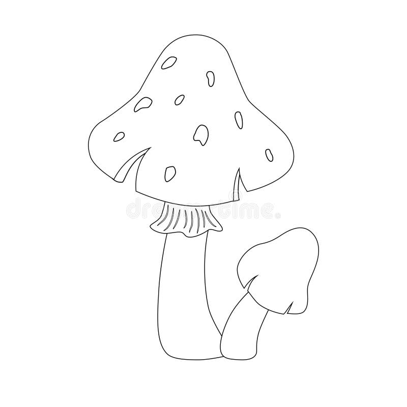 ilustração de ícone dos desenhos animados de cogumelos kawaii fofos.  conceito de ícone plano vegetal de comida isolado no fundo branco.  personagem champignon, mascote no estilo doodle. 16763632 Vetor no Vecteezy