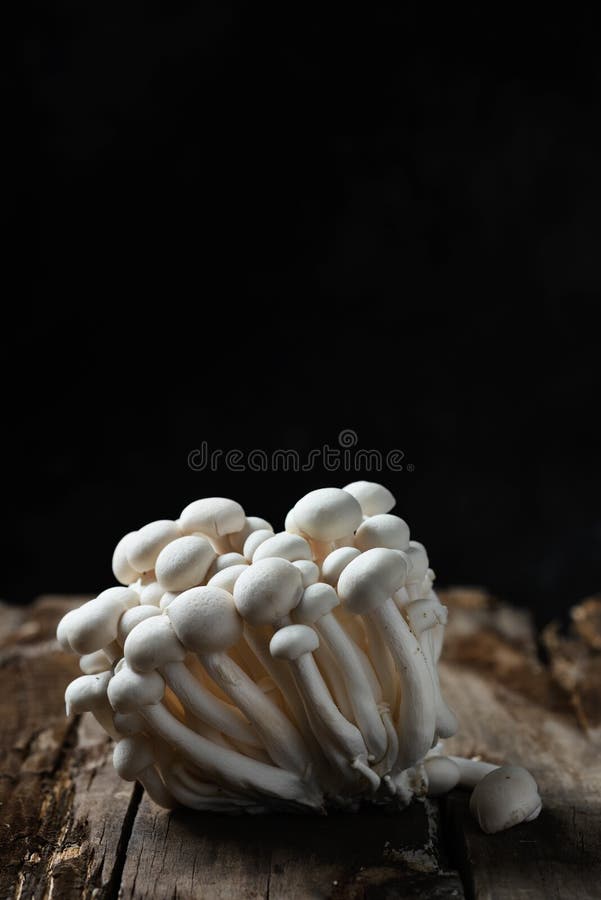 Cogumelos Japoneses Crus Do Bunapishimeji Foto de Stock Imagem de