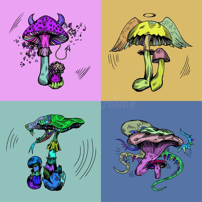 Cogumelos loucos