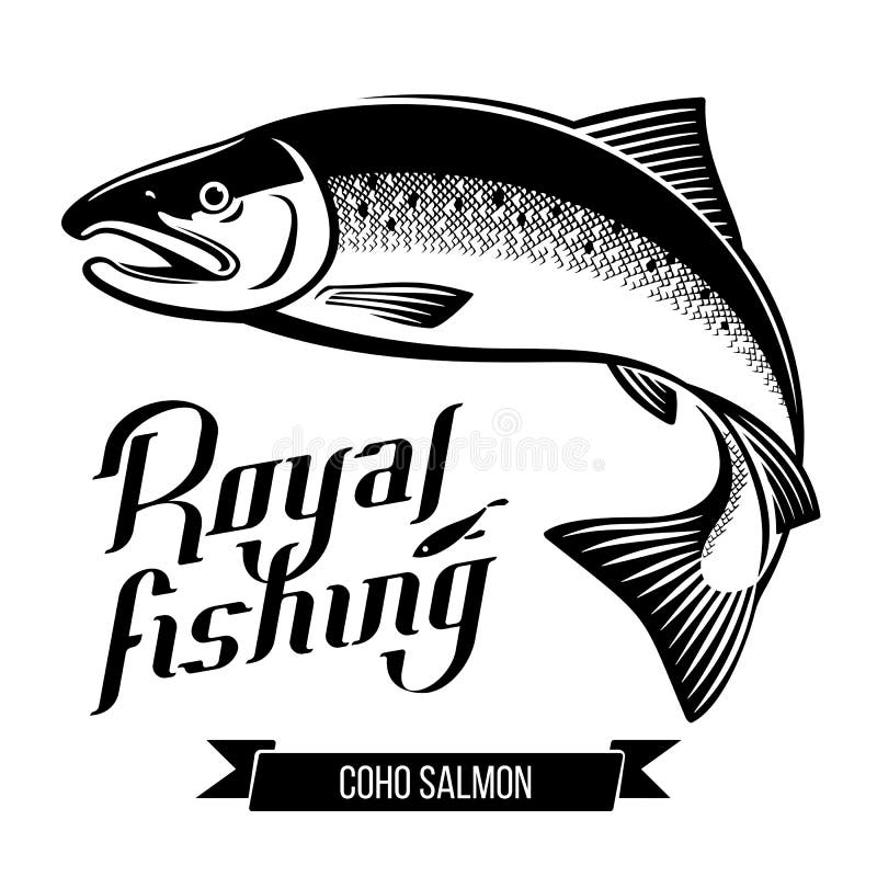 Coho łososia ryba wektoru ilustracja royalty ilustracja Coho łososia ryba wektoru ilustracja royalty ilustracja