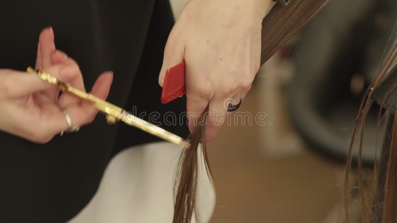 Coiffeur peignant et coupant des cheveux de femme avec des ciseaux de coiffure dans le studio de beauté Fermez-vous vers le haut clips vidéos