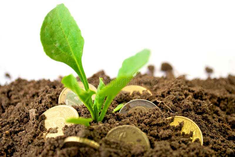 Coins in dirt concept stock photo. Image of currency 14440062