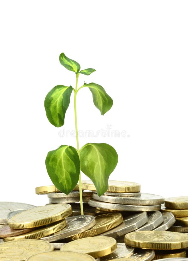 Australia coins and young plant growth royalty free stock image