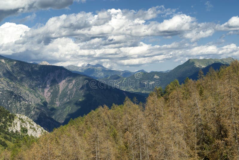 Col. de la Couillole (Franse Alpen) stock fotografie Col. de la Couillole (Franse Alpen) stock fotografie