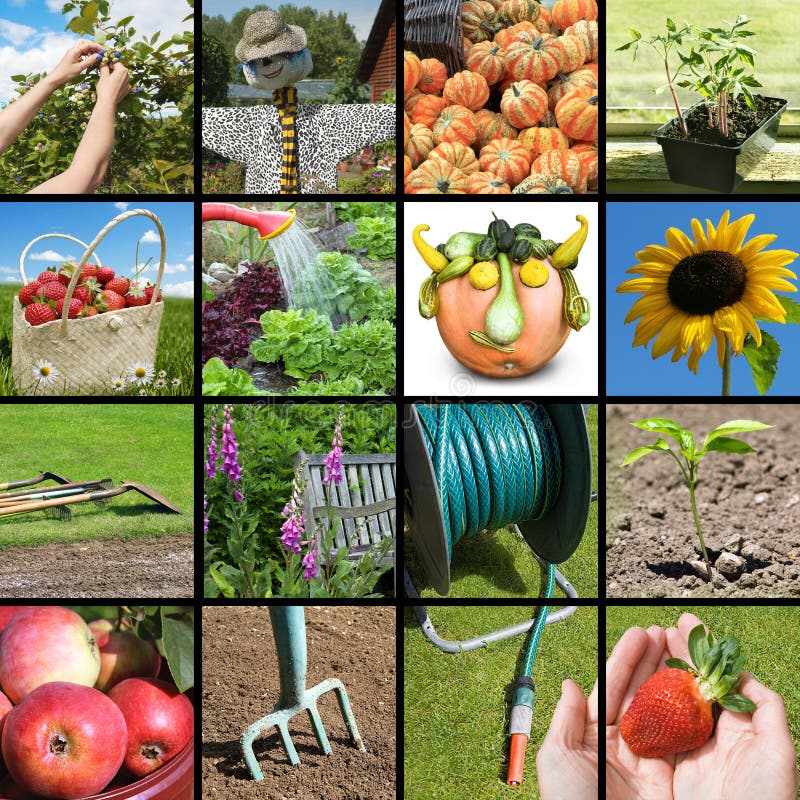 Colagem de jardinagem foto de stock royalty free