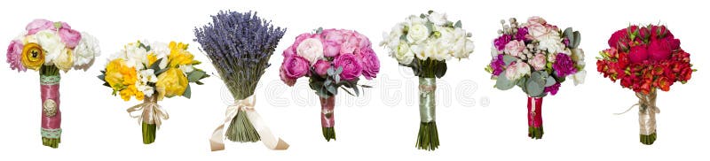 A bouquet of peony roses. Isolated with clipping path. A bouquet of peony roses. Isolated with clipping path