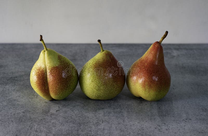 Colas de canela isoladas sobre fundo cinza foto de stock royalty free