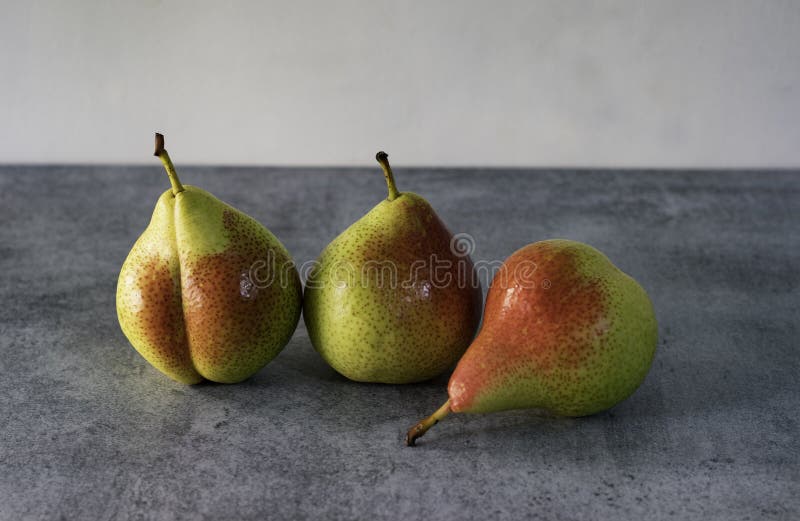 Colas de canela isoladas sobre fundo cinza fotos de stock royalty free