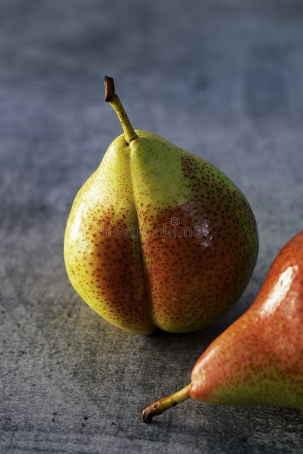 Colas de canela isoladas sobre fundo cinza imagem de stock royalty free