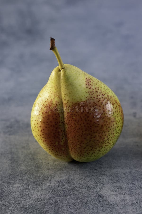 Colas de canela isoladas sobre fundo cinza foto de stock royalty free