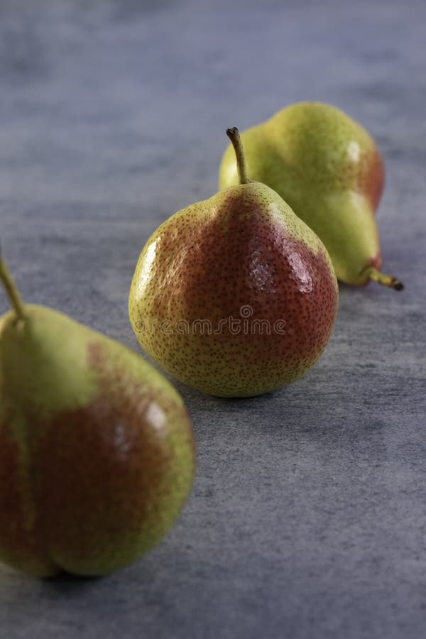 Colas de canela isoladas sobre fundo cinza fotos de stock royalty free