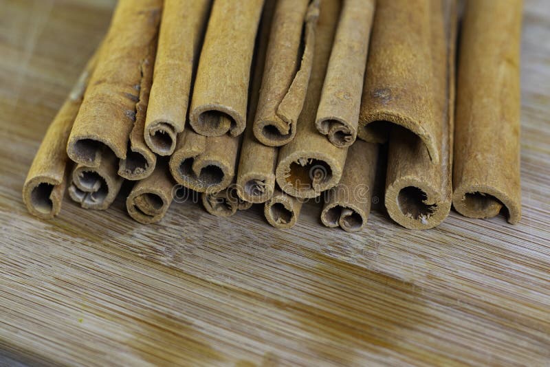 Colas de canela isoladas sobre fundo cinza fotos de stock royalty free