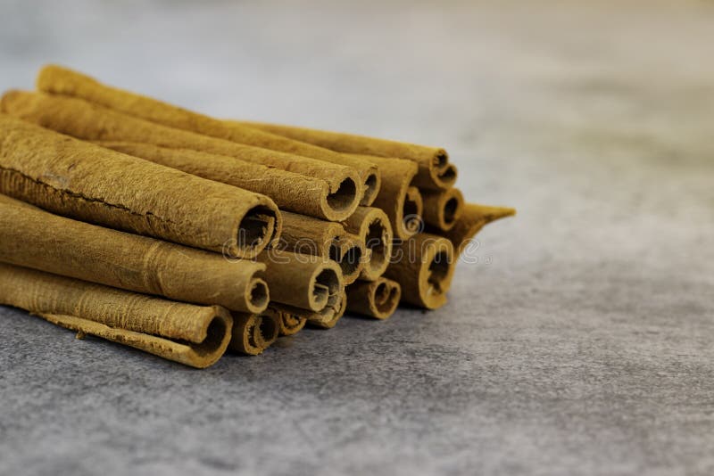 Colas de canela isoladas sobre fundo cinza fotografia de stock