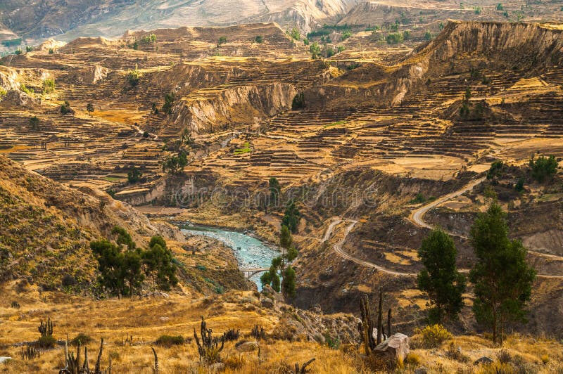 Colca Canyon View