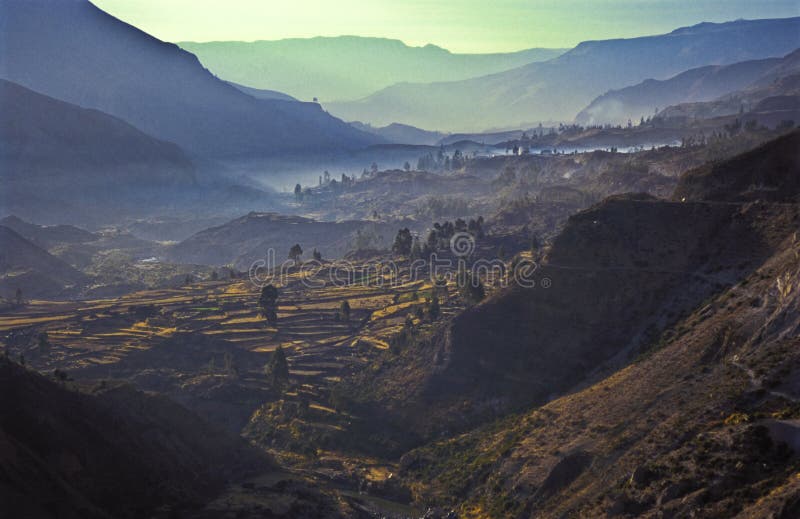 Colca Valey - Inkaterrasse - Kondore steuern #2 automatisch an lizenzfreie stockfotos Colca Valey - Inkaterrasse - Kondore steuern #2 automatisch an lizenzfreie stockfotos