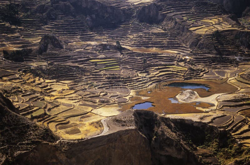 Colca Valey - Inca terrace - Condors home - Chivay - Peru. Colca Valey - Inca terrace - Condors home - Chivay - Peru