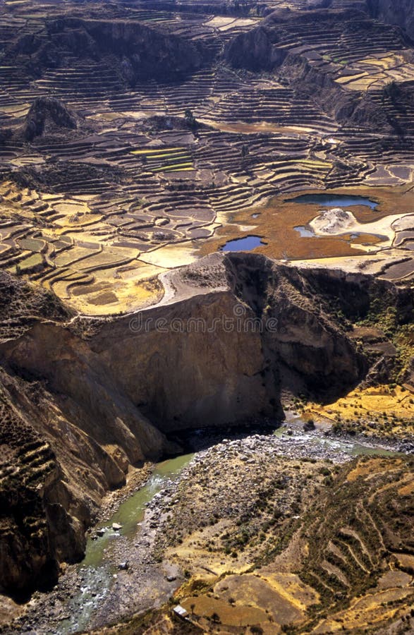Colca Valey - Inca terrace - Condors home - Chivay - Peru. Colca Valey - Inca terrace - Condors home - Chivay - Peru