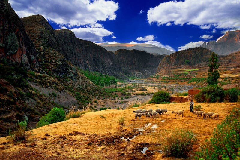 Download Colca Valley Landscape, Peru Stock Image - Image of inca, colorful: 1555357
