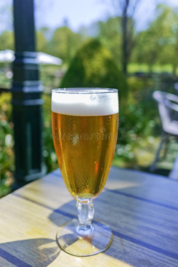 Cold Belgian White Beer Served Outside in Sunny Day Stock Image Image of foam, draft 173052483