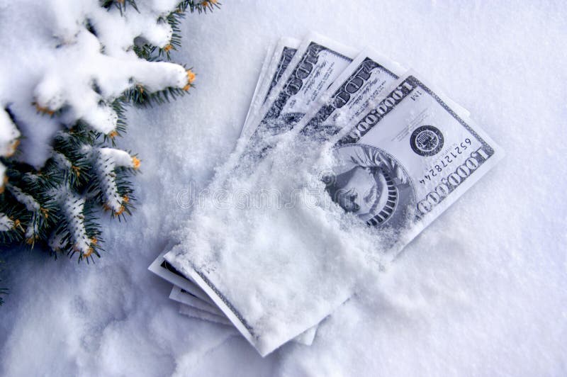 Dinero descansa congelado en la nieve, cubierto frazada de la nieve más cercano abeto un árbol.