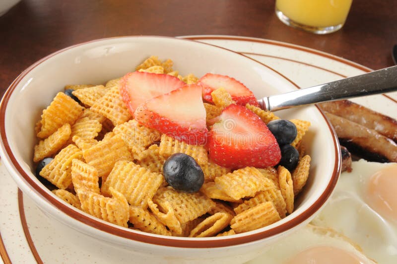 Bowl of Cold Breakfast Cereal Stock Image Image of angle, brunch