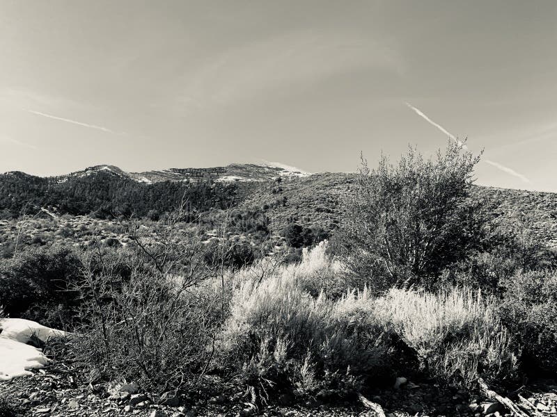 Cold creek stock photo. Image of vegas, creek, nevada 211906464